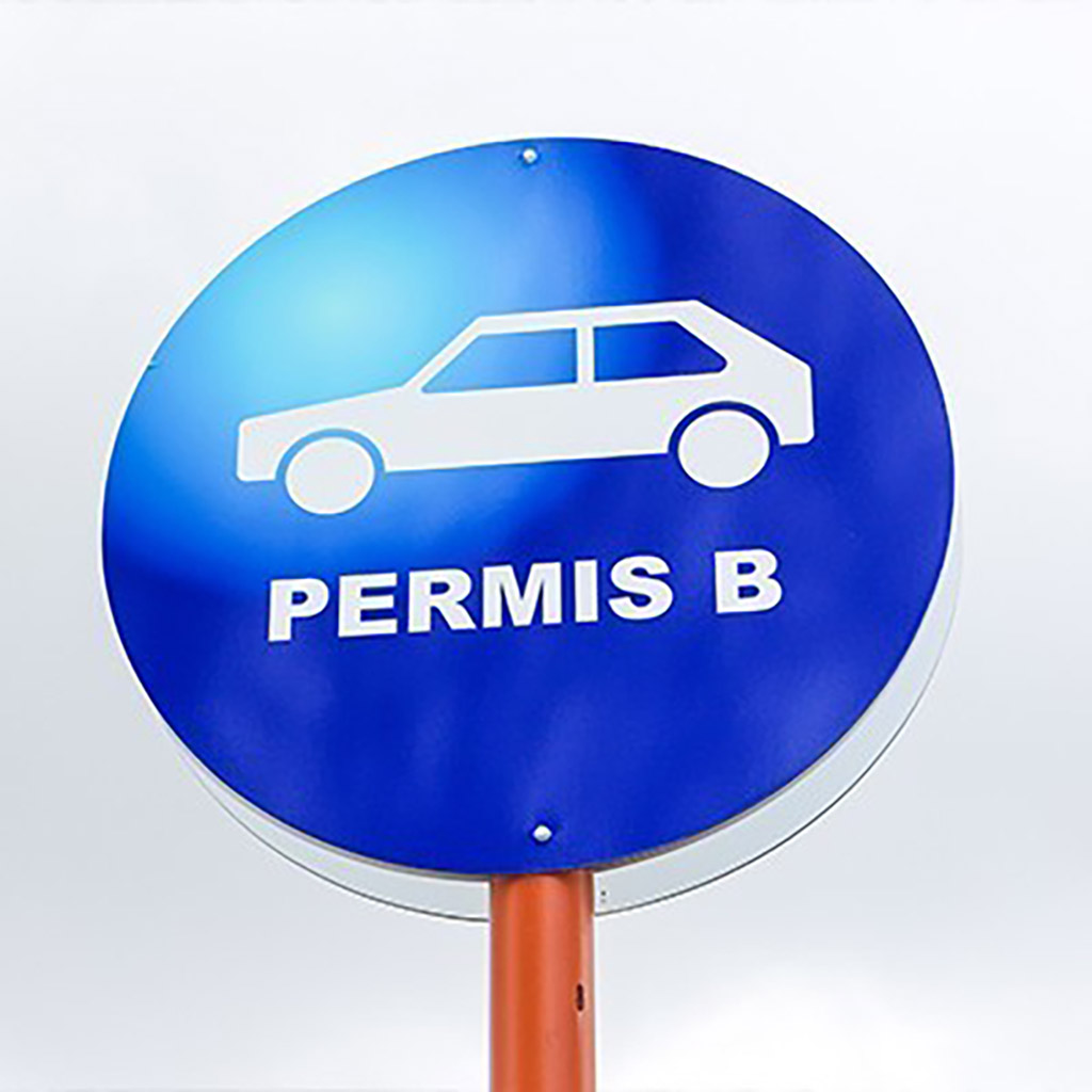 Mobilitate redusă